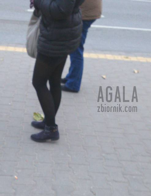 DSC_0151cz.jpg - AGALA
