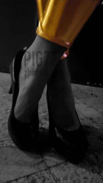 13.jpg - pig77