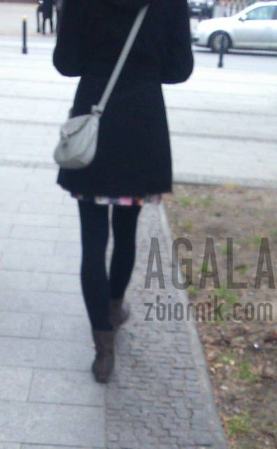 DSC_0178L.jpg - AGALA