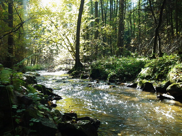 20131013_122107.jpg - bosmat45