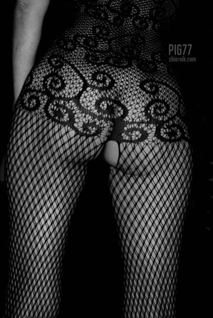 tyłeczek.JPG - pig77