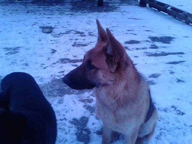 20130221_172610.jpg - remek32