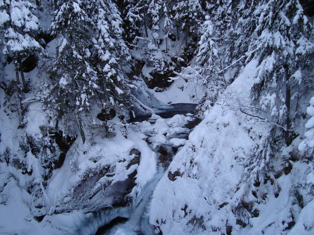 DSC00331.JPG - Ja175