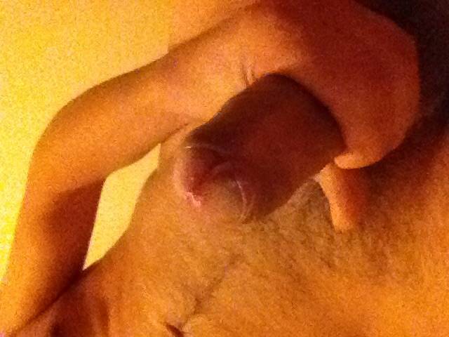 image.jpg - Przystojny185