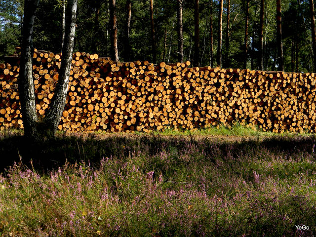 1-DSCN4632.JPG - sekretek