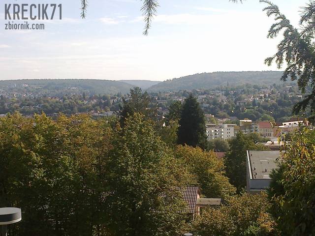 krecik71