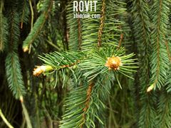 Z czym Ci się to kojarzy?