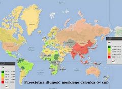 Trochę statystyki... :)