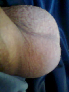 2014-11-23 13.13.04.jpg