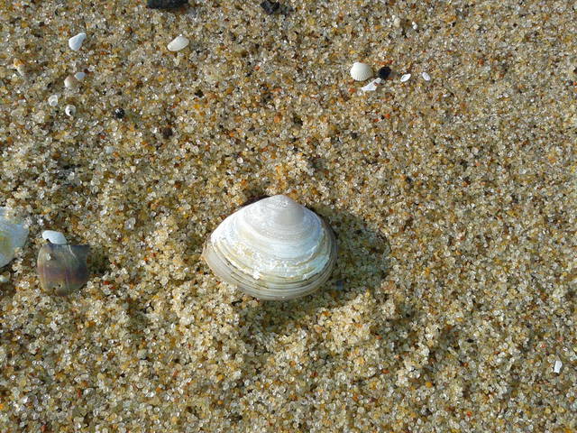 Zdjęcie-0104.jpg - olla55