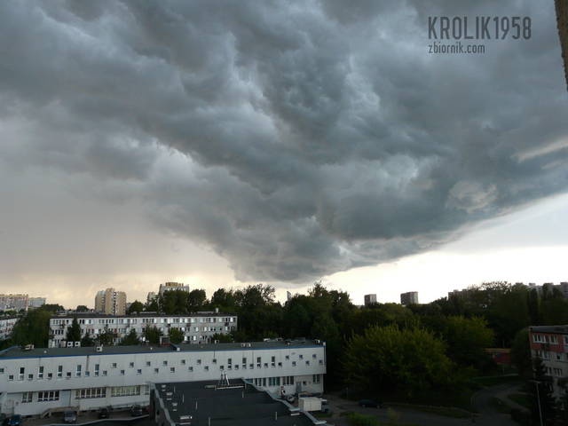 krolik1958