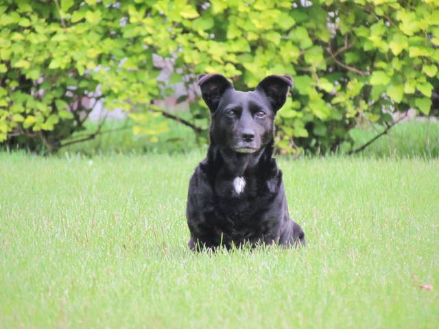 coś widzę - wodnik50