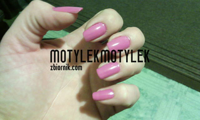 1418494953601.jpg - motylekmotylek