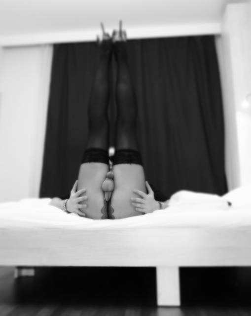 P1020868.JPG - psotnik01