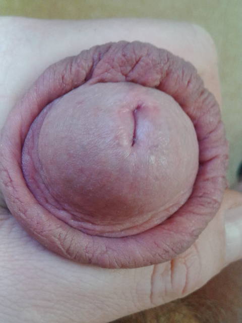 IMG_20141214_145122.jpg - lizalek73