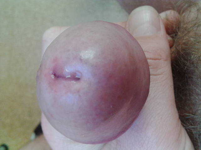 IMG_20141214_145210.jpg - lizalek73