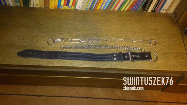 Czy jest ktoś chetny - swintuszek76