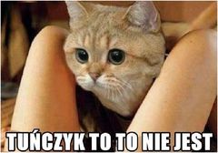 to_nie_tunczyk