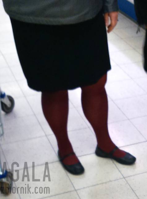 DSC_a0484kol.jpg - AGALA