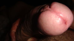 DSC02110.JPG