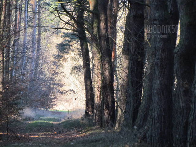 świąteczny spacer - wodnik50