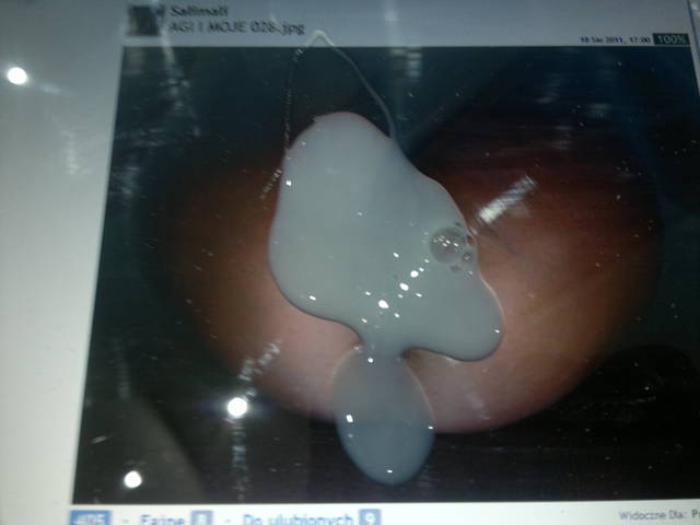 z dedykacja dla Salimali - nie mogle sie powstrzymac... - dyskretny777pp