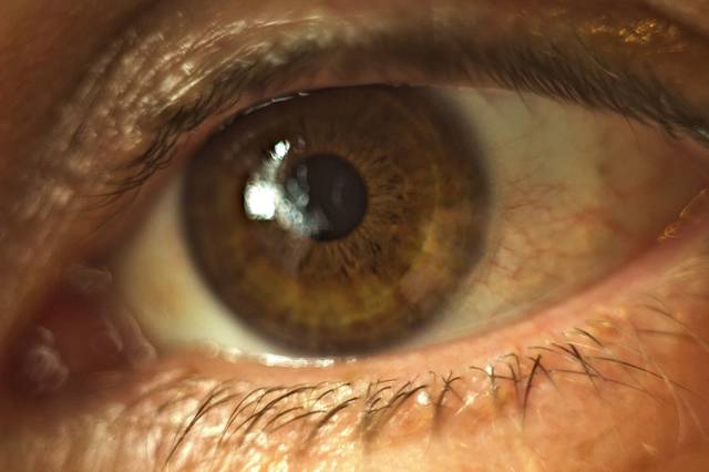 Araki_N