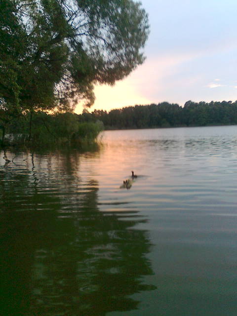 Zdjęcie0124.jpg - pawelb1969r