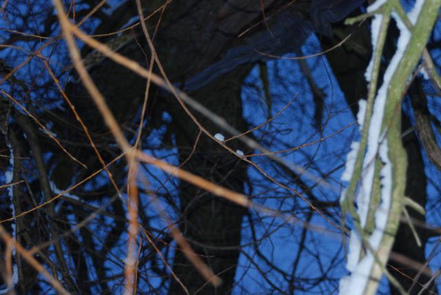 DSC_0945.JPG - Arrou