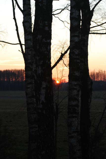 DSC_1051.JPG - Arrou