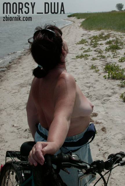 Łapię słonce - Morsy_dwa