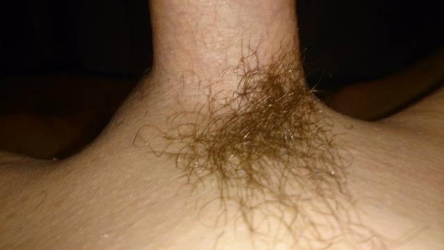 KOMETUCJCIE I PISCIE  - andrzej12317