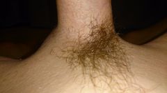 KOMETUCJCIE I PISCIE 