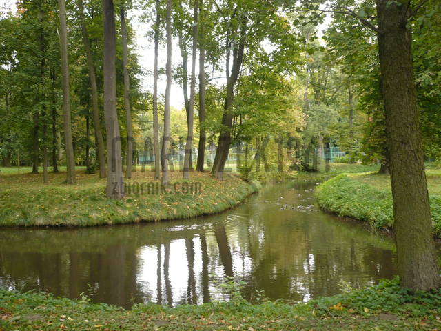 J4.jpg - mareczek1961