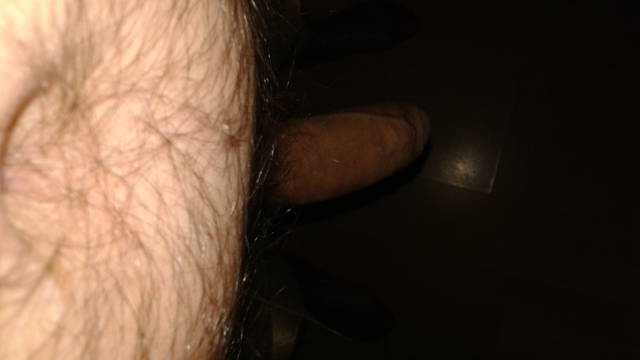 20150126_113455.jpg - pawlootearty