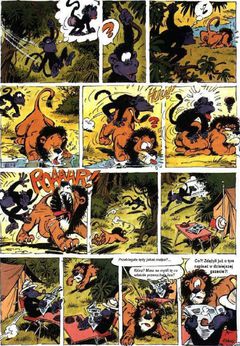 Najświeższe wiadomości