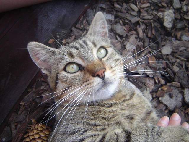 coś tam.......  - wodnik50