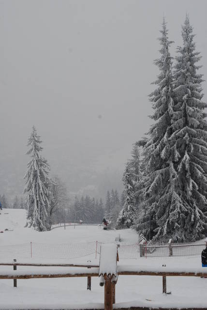 DSC_1122.JPG - Arrou