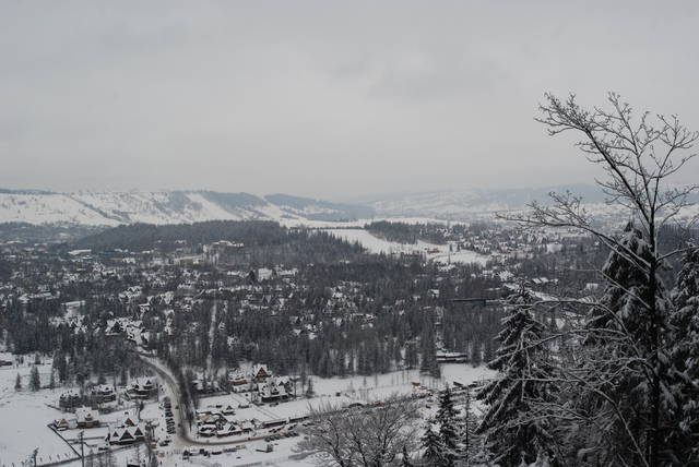 DSC_1239.JPG - Arrou