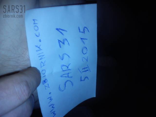 sars31