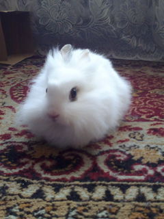 wwwwwwwwwwww 064.jpg