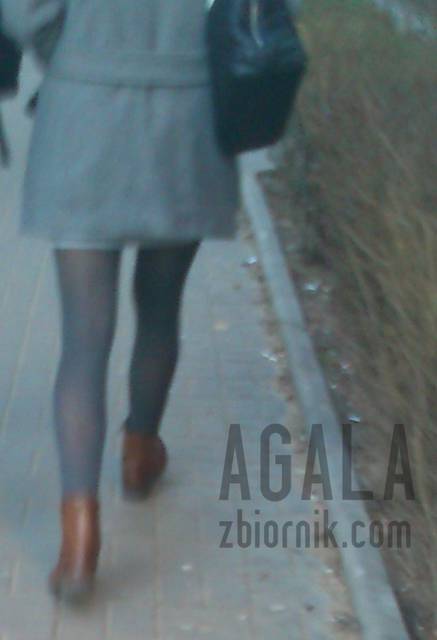 DSC_0017v.jpg - AGALA