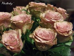 Herbaciane róże od mojego Walentego ...