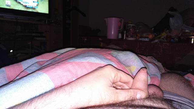 DSC_0010.JPG - bardeg