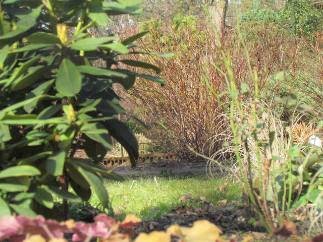 wiosenny....... - wodnik50