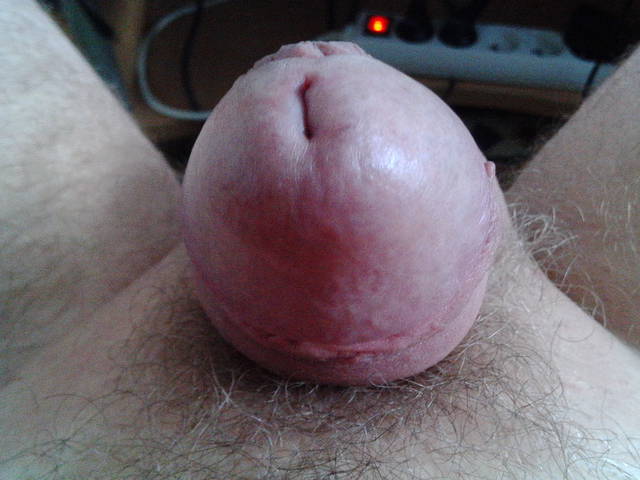 IMG_20150222_124329.jpg - lizalek73