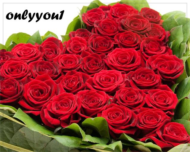 ulubione kwiaty only - onlyyou1