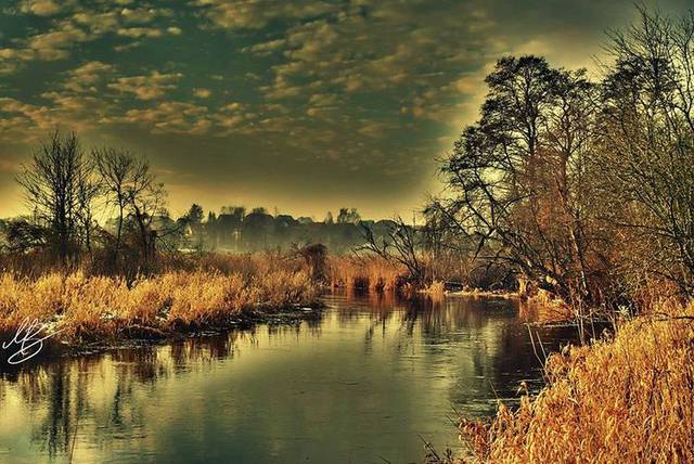 2db810e31e.jpeg - hhjfj