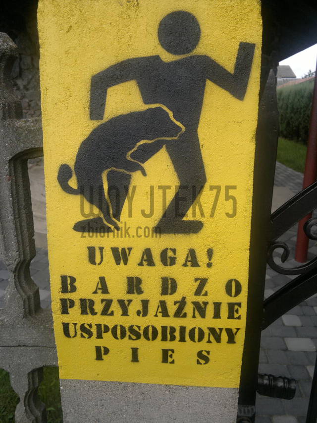woyjtek75