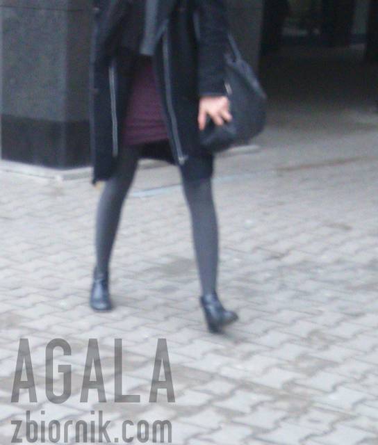 DSC_0815v.jpg - AGALA